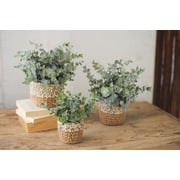 Set Of 3 Realistic Artificial Botanica Fern Eucalyptus Plant In Chic Woven Pots