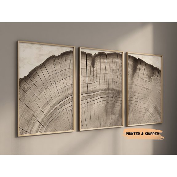 Set Of 3 Tree Slice Wall Art Prints, Beige Gray Boho Wood Ring Decor