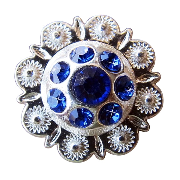 Set Of 4 Western Screw Back Concho Sapphire Berry Crystals Cowgirl 1In