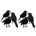 thumbnail image 1 of Set Of 6 Realistic Black Feathered Crows, High-Quality Foam And Feathers, Easy To Position For Indoors And Outdoors, Enhance Your Halloween Decor, 1 of 5