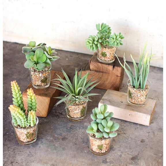 Set Of 6 Realistic Lifelike Artificial Faux Botanica Succulents In Glass Pots
