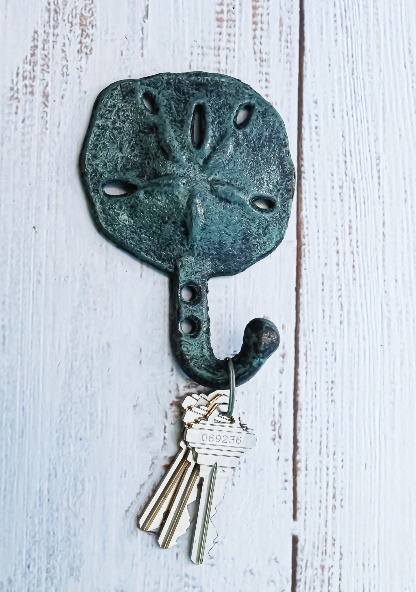 Verdigris Cast Iron Sand Dollar Coastal Wall Hooks Set