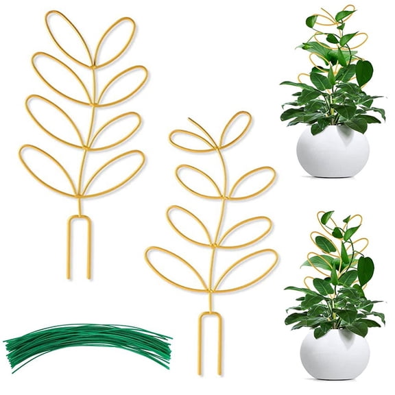 Set Of Two Plant Supports Stylish And Sturdy Metal Trellises For Indoor Use