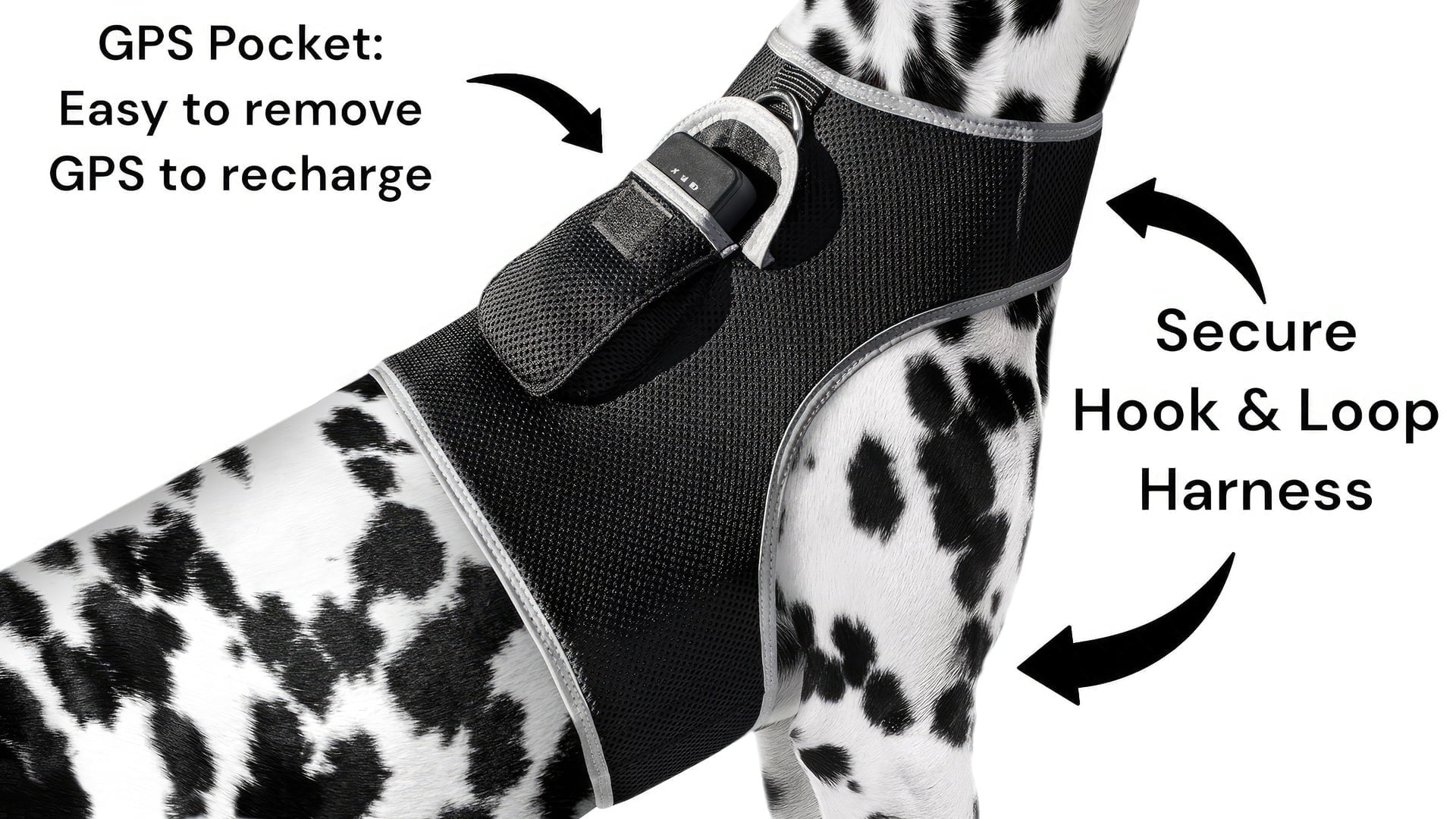 Set Pet Perimeter Boundary w/ Pet Tracker GPS Tracking Dog Collar Tracker Size:L