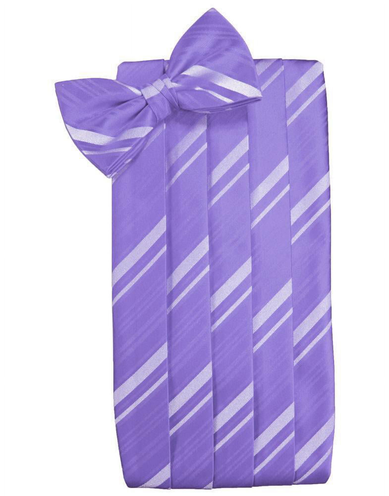 Willow Kids Striped Satin Cummerbund