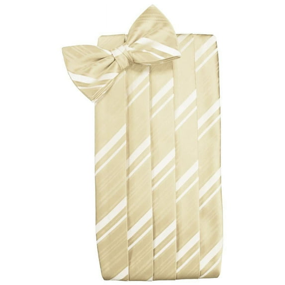 Set Striped Satin Cummerbund & Bow Tie