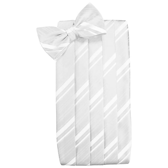 Set Striped Satin Cummerbund & Bow Tie
