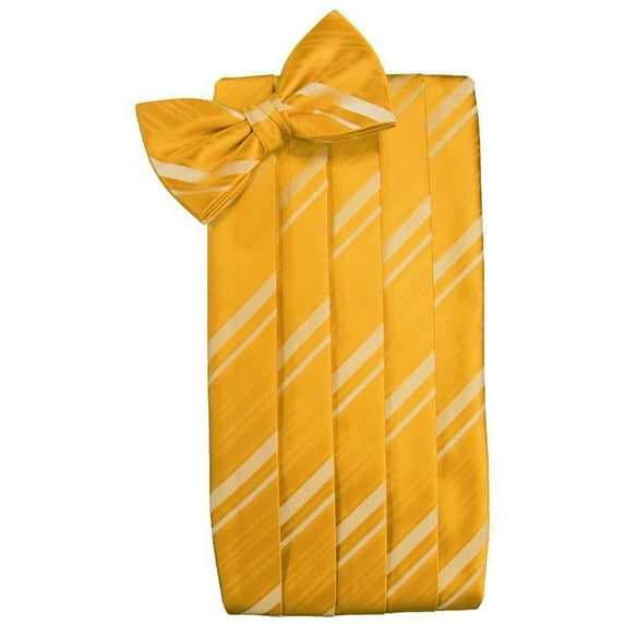 Set Striped Satin Cummerbund & Bow Tie