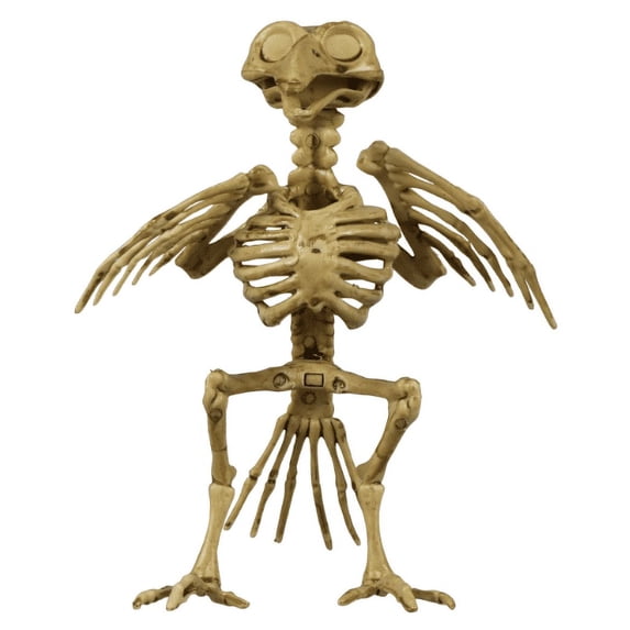Set of 1-CLY Plastic Bird Skeleton Decorations Halloween Bird Skeleton 7x6x7in. Bird Skeleton Halloween Decor Bird Skeleton in Bulk
