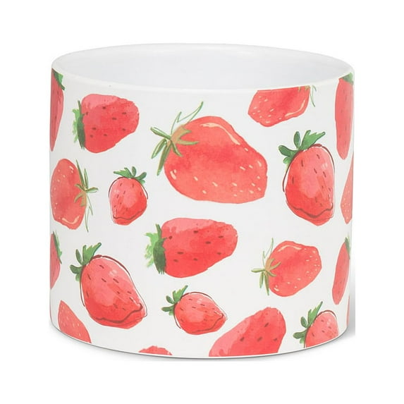 Set of 1 Strawberries Small Planter