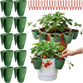 Set of 10 Green Hanging Plant Grow Cups with 20 Forks – for Strawberry Runner Propagation, Transplant Grow Station for Garden, Balcony, Greenhouse(C)