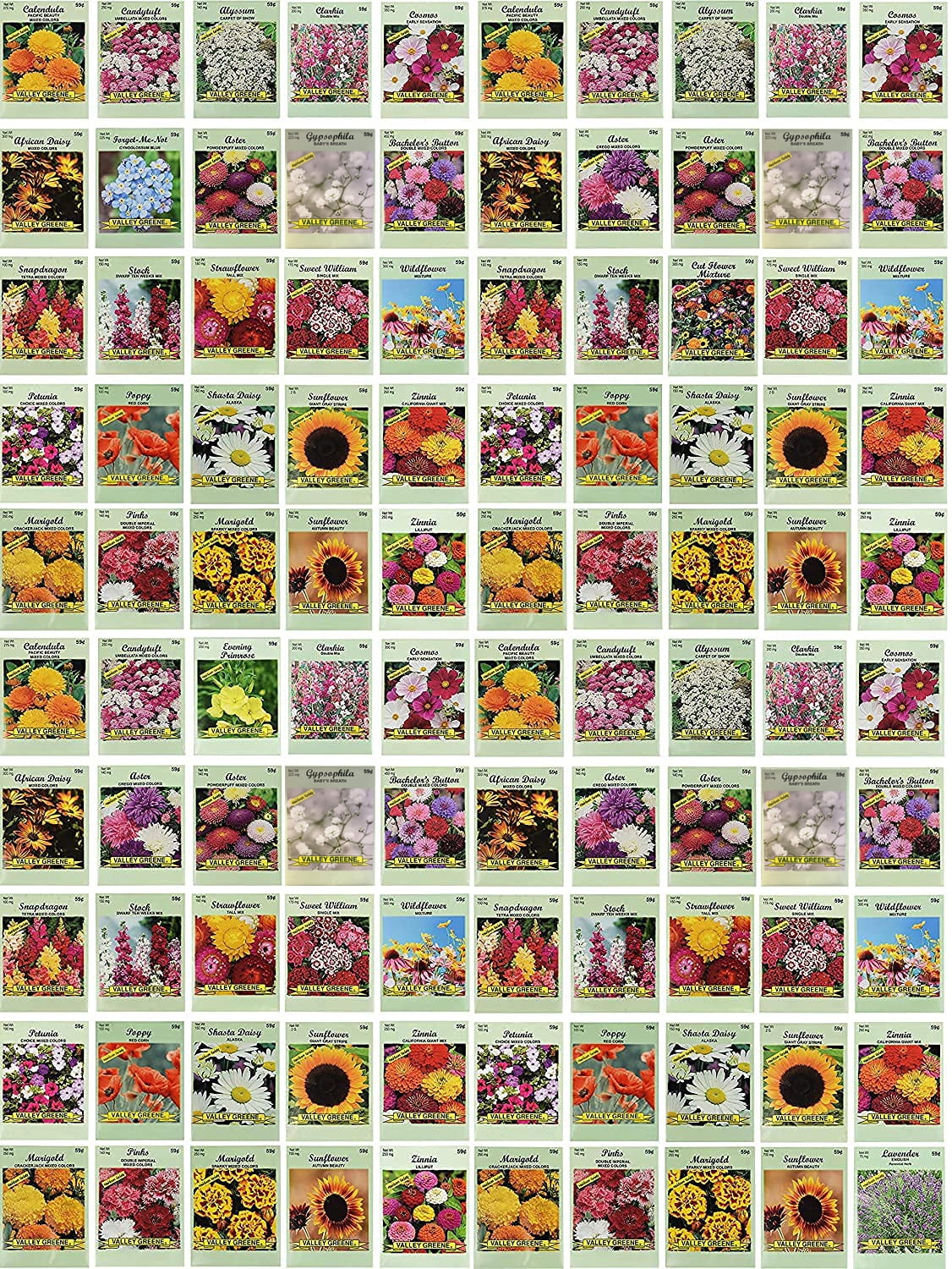 Set of 100 Assorted Current Year Valley Green Flower Seed Packets
