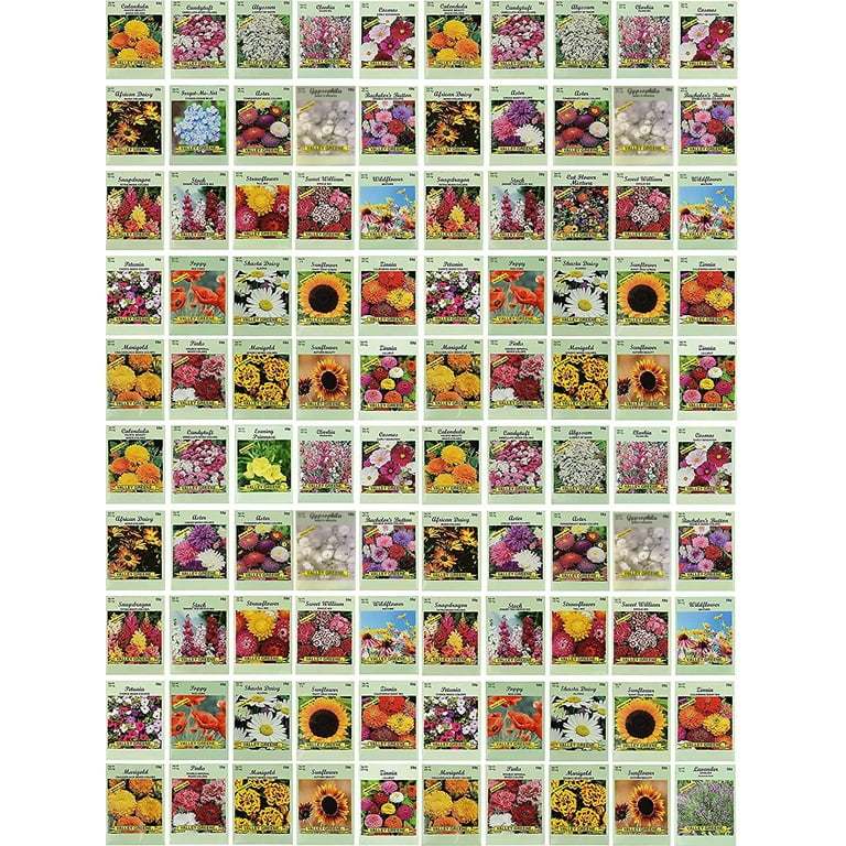 Set of 50 Assorted Flower Seed Packets! Flower Seeds in Bulk - 20+  Varieties Available!