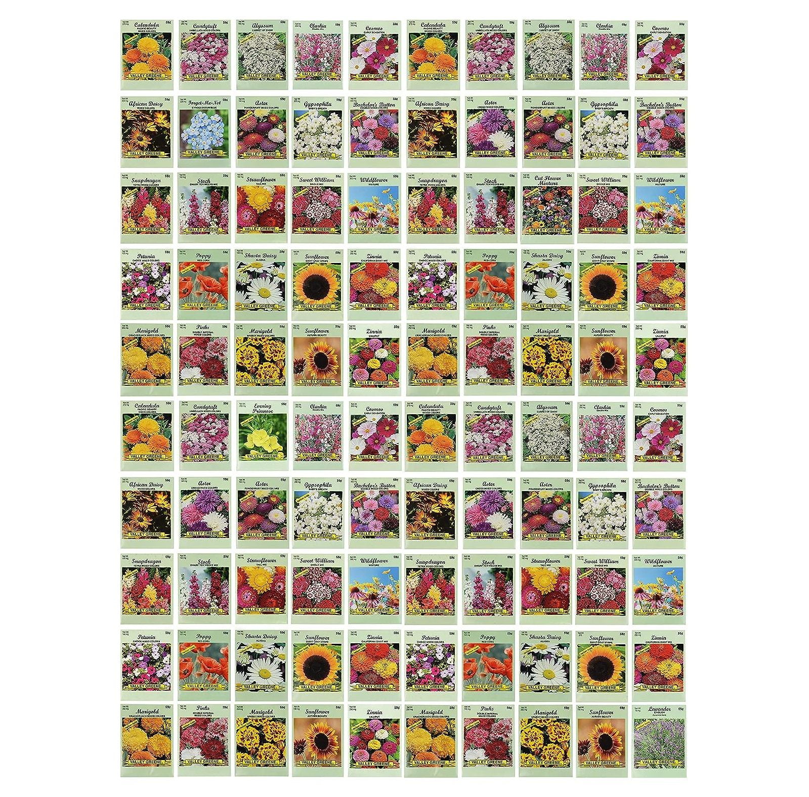 Set of 100 Assorted Valley Green Flower Seed Packets! Flower Seeds in