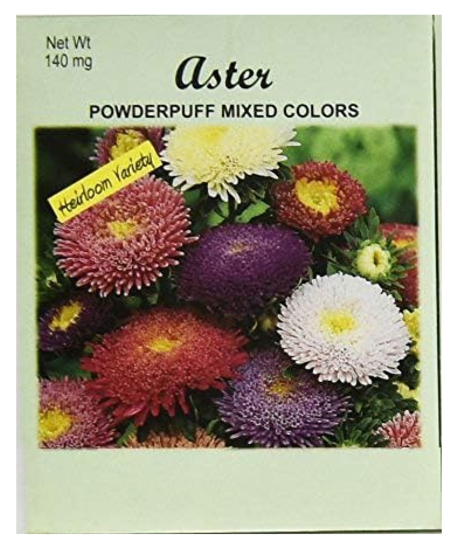 Set of 100 Aster Powderpuff Flower Seed Packets! Flower Seeds in Bulk ...