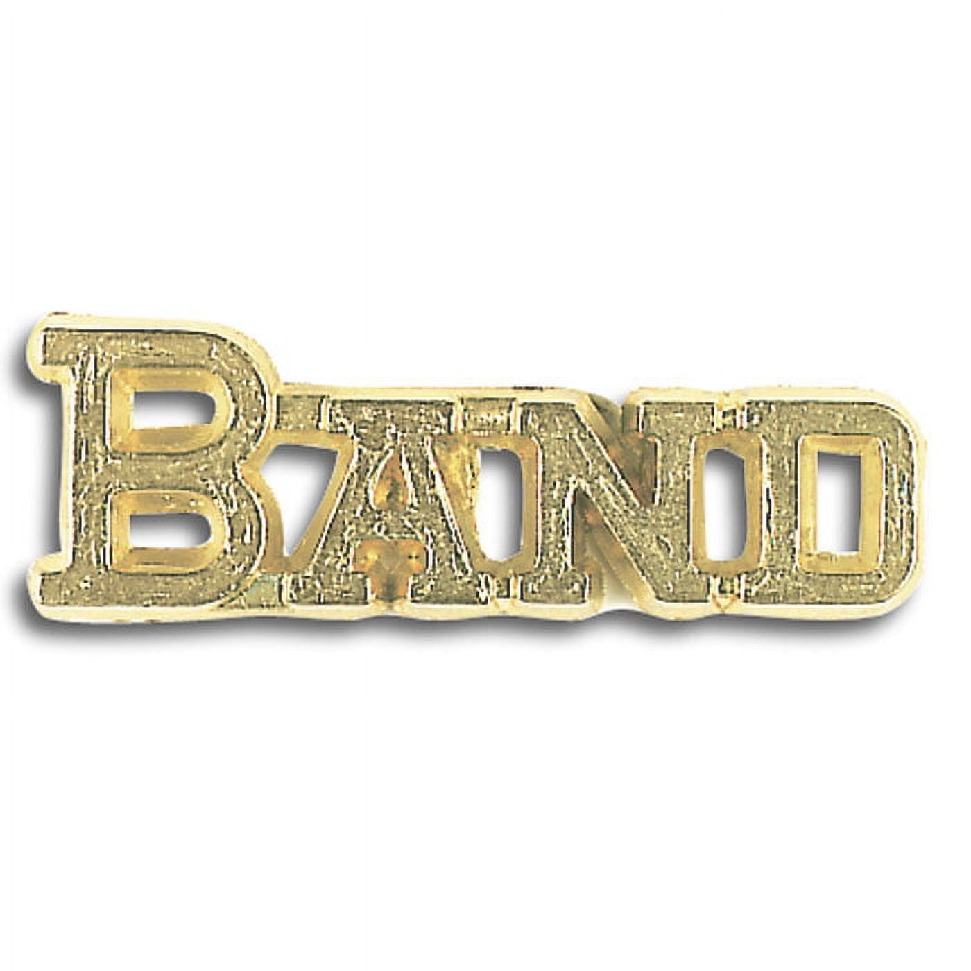 Set of 100 Chenille Pins - Band - Walmart.com