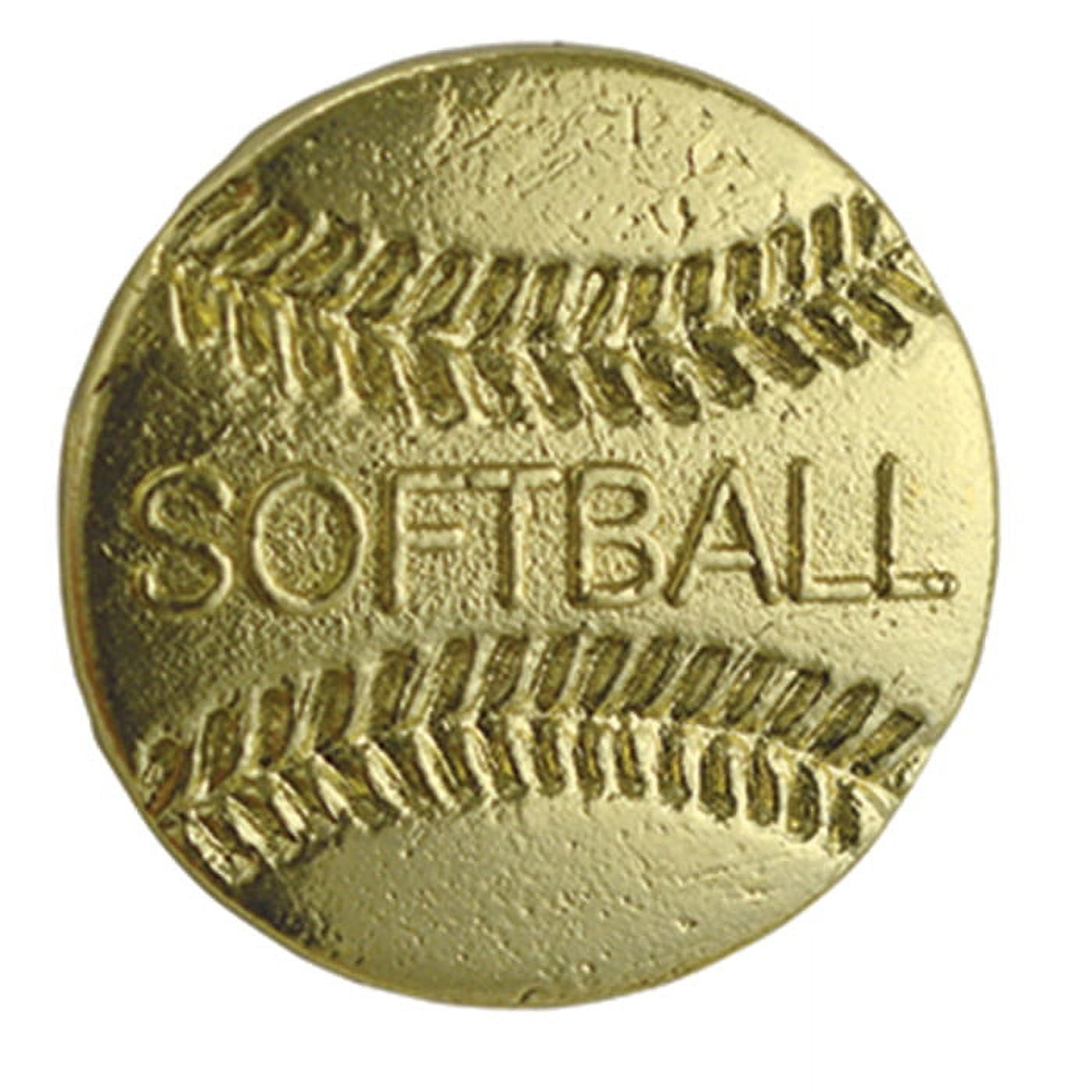 Set of 100 Chenille Pins - Softball
