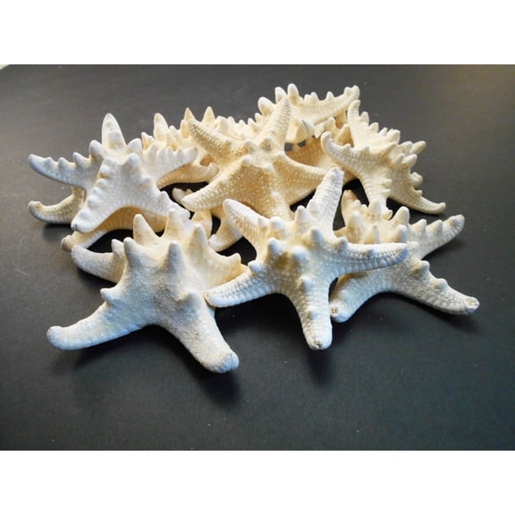 Set of 100 Tiny White Knobby Starfish for Beach Wedding Crafts and Decor 2-3 Inch.  Nautical Coastal Beach Cottage Decor