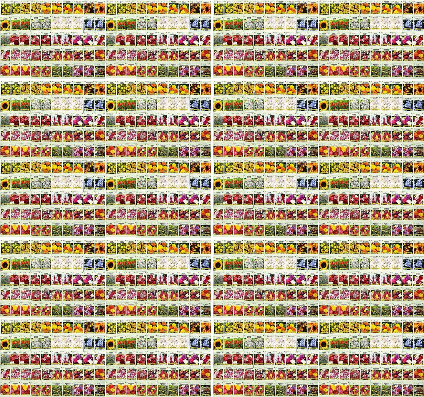 Set of 1000 Assorted Valley Green Flower Seed Packets! Flower Seeds in Bulk - 29+ Varieties Available!