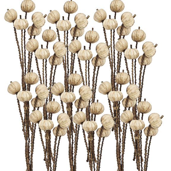 Set of 12, 23.5" 5Pcs/Bunch Pumpkin Pod Twig Stem