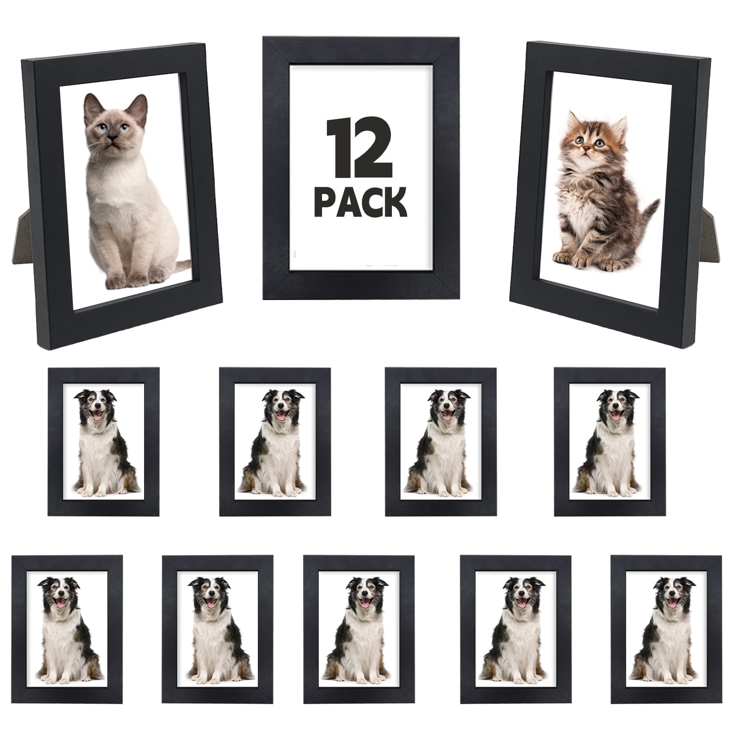Ecd Frames Set of 12 Picture Frame Photo Frames Wall Mounting Simple Photo Frames ...