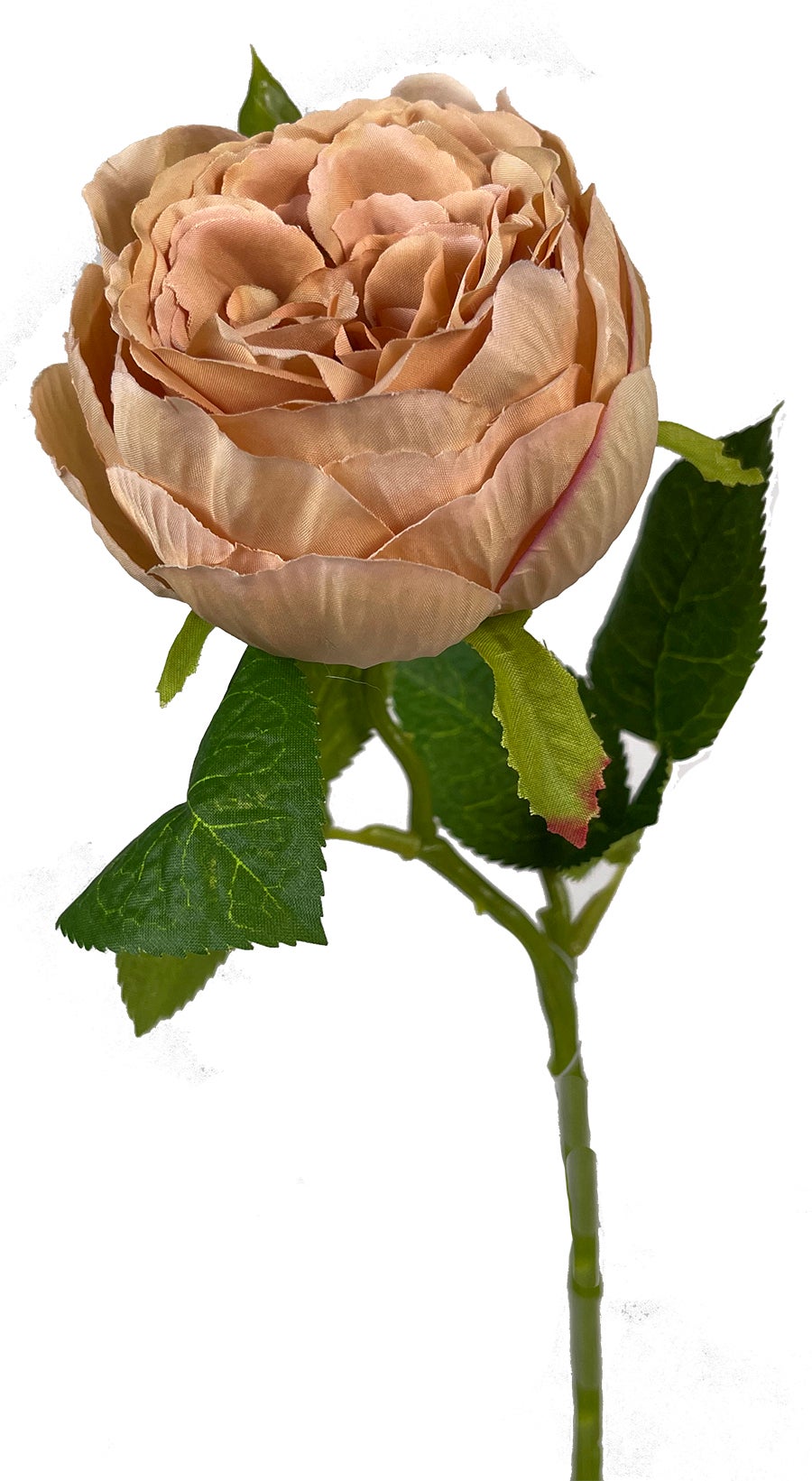 Englsih Roses Fake Set of 12 Toffee English Garden Rose Artificial Flower - Walmart.com