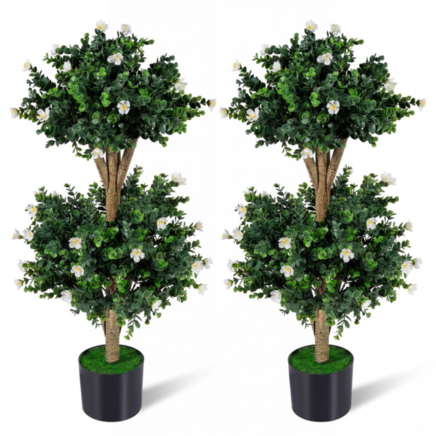 Caf Tree Set of 2 36