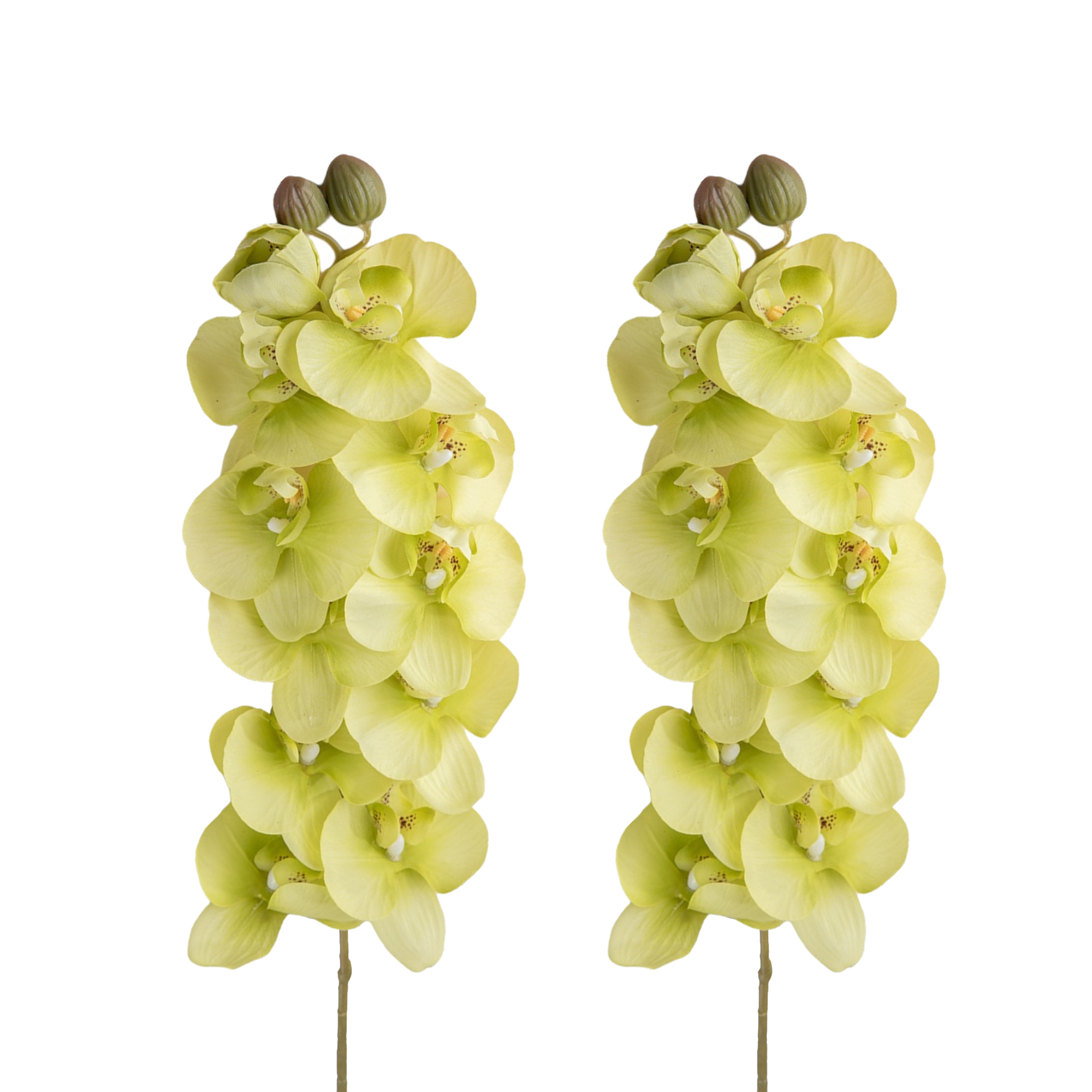 Set of 2 Artificial Phalaenopsis Orchid Stems, 28 inches