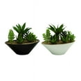 thumbnail image 1 of Set of 2 Artificial Succulent Plants in Oval Ceramic Dish Planters, 1 of 5