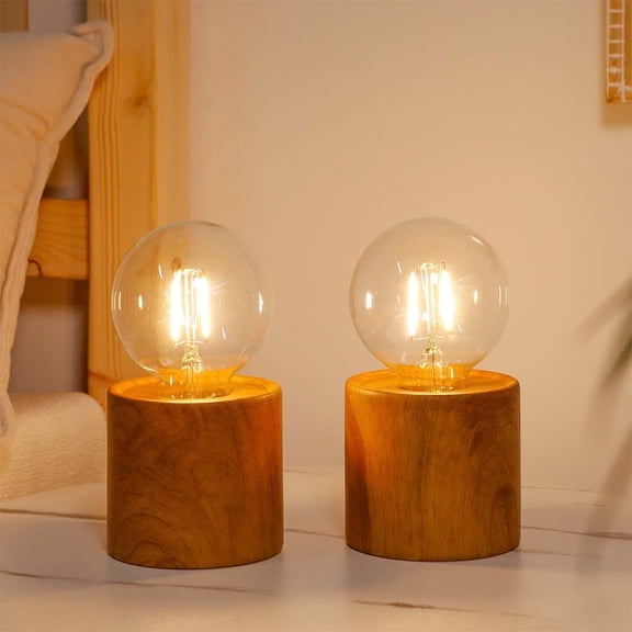Set of 2 Battery Operated Lamp Cordless Lamp Light with Edison Style Bulb