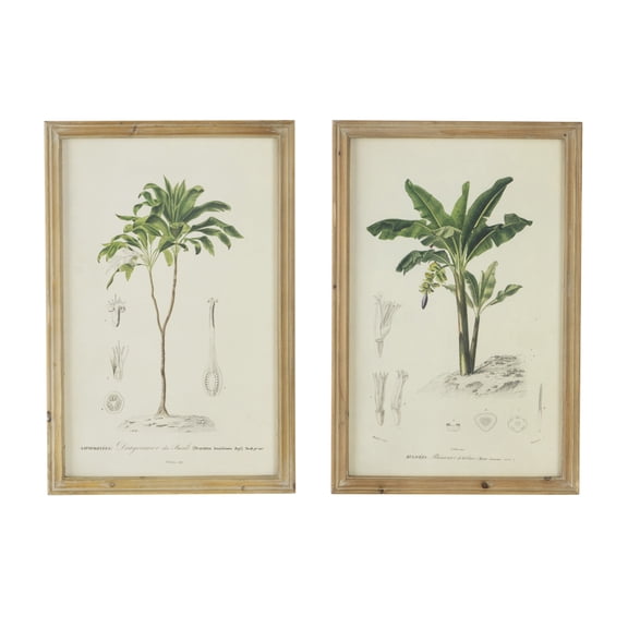 Set of 2 Botanical Tree Framed Art Prints, 15.5x23.5 Inch Wood Framed Vintage Plant Illustrations, Ready to Hang Wall Decor
