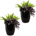 Set of 2 Captivating Ceramic Planters Outdoor/Indoor Planter Pots