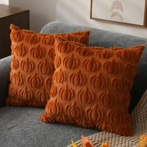 Set of 2 Caramel Pumpkin 18x18 Fall Pillow Covers, Soft Plush Autumn Pumpkin Faux Fur Cushion Cases for Couch, Chair, or Sofa Home Decor