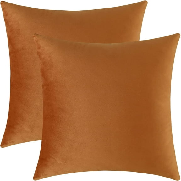 Set of 2 Comfy Soft Thick Throw Pillow Covers for Sofa Couch, Decorative Square Cushion Cases for Living Room Car (Terracotta)