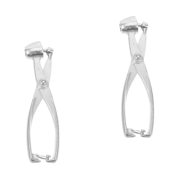 FENGGUIQU Compact Metal Fruit Core Remover 2pcs for Jujube Cherry Olive Kitchen Use