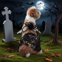 Set of 2 Halloween Spider-Themed Pet Costume: Black Tutu Dress with Web Pattern   Sparkly Wing | Ideal for Cat & Small-Medium Dog Cosplay