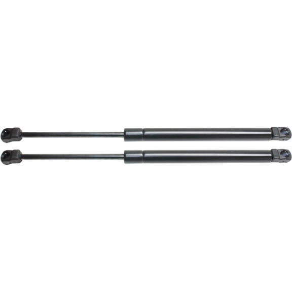 Set of 2 Hood Lift Supports Driver & Passenger Side Left Right For Infiniti Pair