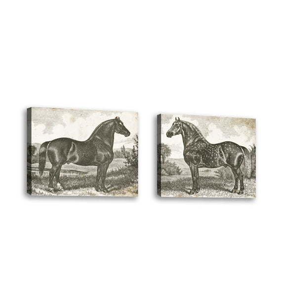 Set of 2 - Horse Etching II - Contemporary Fine Art Giclee on Canvas Gallery Wrap - wall décor - Art painting - 24 x 20 Inch - Ready to Hang