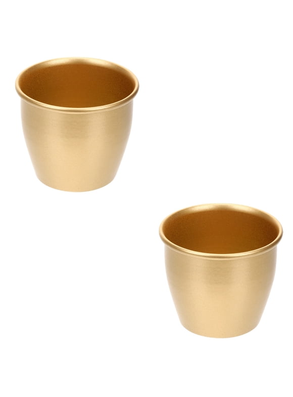 Set of 2 Mini Flower Pot Pots for Plants Flower Pots Gold Planter Plant Pots Metal Bucket