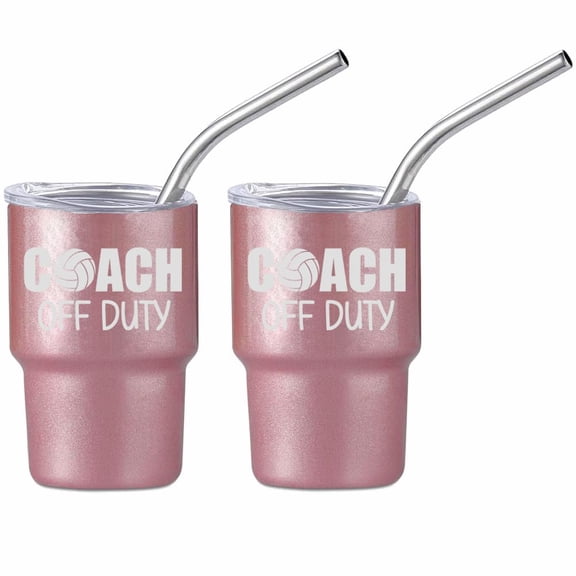 Set of 2 Mini Tumbler Shot Glasses 3oz Shot Glass With Straw and Lid Stainless Steel Gift Volleyball Coach Off Duty Funny (Rose Gold)