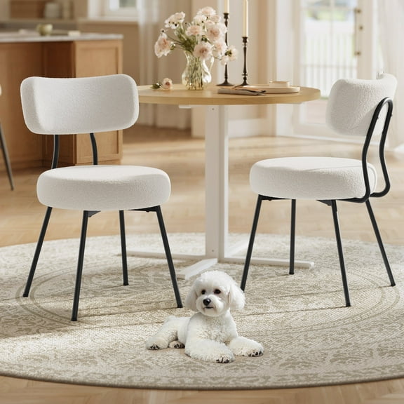 Set of 2 Modern Upholstered Dining Chairs with Curved Backrest, Plush Teddy Fleece & Sturdy Steel Frame for Comfortable Seating, Cream White