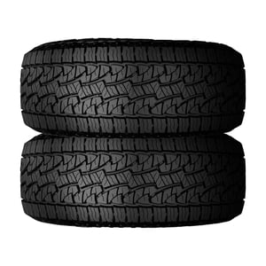 Nexen Set of 2 Nexen Roadian AT Pro RA8 245/70R16 111S Tires Sansujyuku sansujyuku.com