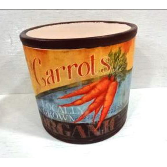 Set of 2 Orange and Yellow "Carrots" Storage Containers 13"