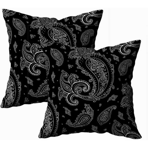 Set of 2 Paisley Background Hand Drawn Pattern Throw Pillow Covers 18X18 Inch Decorative Pillow Cases for Couch Bedroom Living Room
