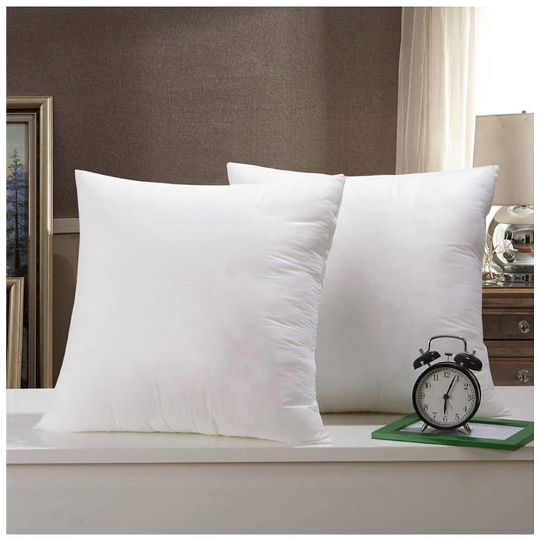 https://i5.walmartimages.com/seo/Set-of-2-Pal-Fabric-Squre-Euro-pillows-Insert-16-x16-for-Pillow-Cover_c2ef0886-d583-4475-8fcb-0103d8fe6bba.99427dd4dad1a93c1e3bcfa857650b9e.jpeg?odnHeight=768&odnWidth=768&odnBg=FFFFFF