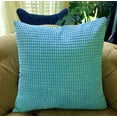 thumbnail image 1 of Set of 2 Polyester Blend soft hand feeling Pillow (With or Without Inserts), 1 of 11