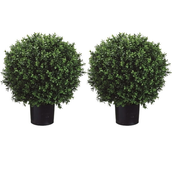 Set of 2 - Pre-Potted 24" High Ball Shaped Boxwood Topiary-MEKBOK- 16" Diameter - Plastic Pot