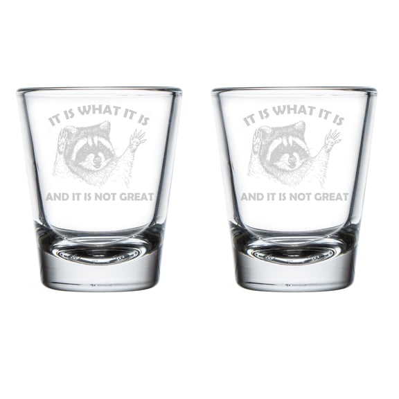 Set of 2 Shot Glasses 1.75oz Shot Glass Gift It Is What It Is And It Is Not Great Raccoon Funny