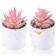 Miracliy 2 Pack Pink Artificial Succulent Plants, Fake Potted Succulents for Table Home Decor