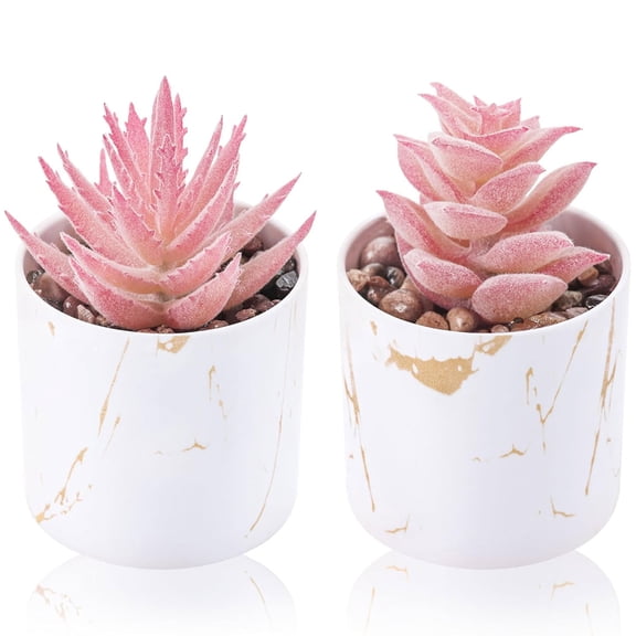 Miracliy 2 Pack Pink Artificial Succulent Plants, Fake Potted Succulents for Table Home Decor